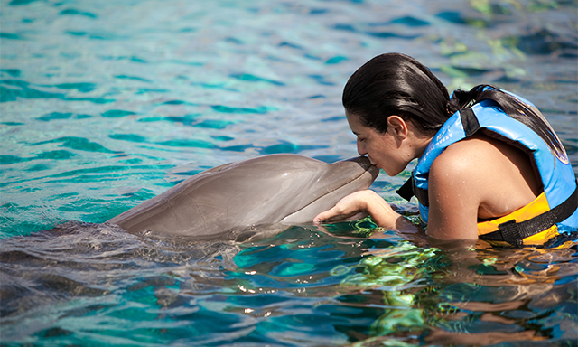 woman kissing a dolphin.