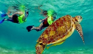 Puerto Costa Maya PE