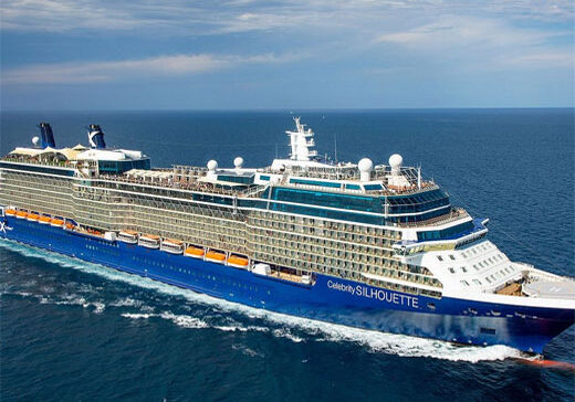 CELEBRITY SILHOUETTE